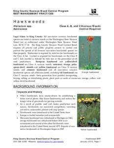 King County Noxious Weed Control Program BEST MANAGEMENT PRACTICES   Hawkweeds Hieracium spp.