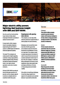 Major electric utility powers lightning-fast business insight with IBM and SAP HANA Overview Challenge