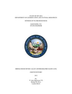 STATE OF NEVADA DEPARTMENT OF CONSERVATION AND NATURAL RESOURCES DIVISION OF WATER RESOURCES JASON KING, P.E. STATE ENGINEER