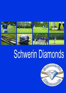 Microsoft Word - Mappe Schwerin Diamondsgroß.doc