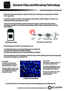 Genome Chips and Microarray Technology Using Biotechnology for Plant Research Of the tens of thousands of genes in a plant cell, only some of these genes are expressed or “switched on” at a given time. A “switched 