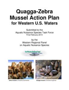 Zoology / Zebra mussel / Quagga mussel / Quagga / Great Lakes / Mussel / Invasive species / National Invasive Species Act / Lake Powell / Dreissenidae / Phyla / Protostome