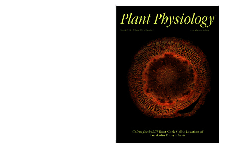 Forskolin / Plant physiology / Hormone / Biology / Chemistry / American Society of Plant Biologists