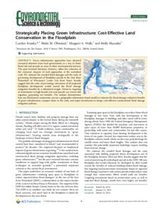 Policy Analysis pubs.acs.org/est Strategically Placing Green Infrastructure: Cost-Eﬀective Land Conservation in the Floodplain Carolyn Kousky,*,† Sheila M. Olmstead,† Margaret A. Walls,† and Molly Macauley†