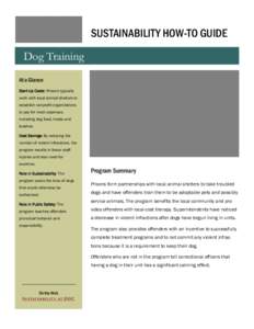 How-To Guide -- Dog Training