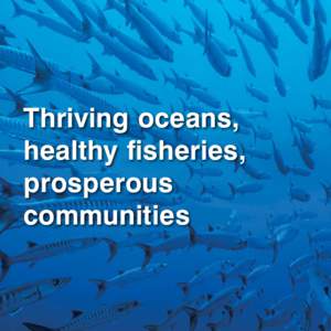 Thriving oceans, healthy fisheries, prosperous communities  22