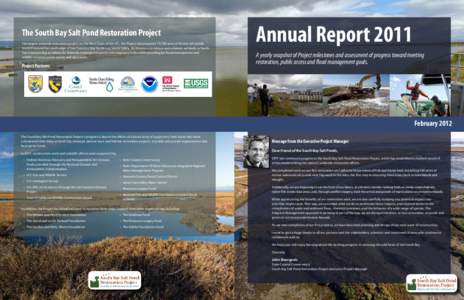 Wetland / Alviso /  San Jose /  California / Suisun Marsh / California Coastal Conservancy / Geography of California / San Francisco Bay / Aquatic ecology