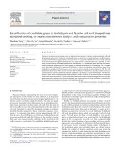 Identification of candidate genes in Arabidopsis and Populus cell wall biosynthesis using text-mining, co-expression network analysis and comparative genomics