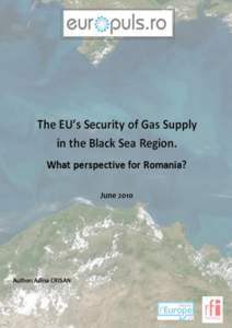 2010 is a vital year both for the development of the Black Sea region as an energy hub and for the chances of Romania and the European Union to ensure lasting energy security for themselves. Several investment decisions