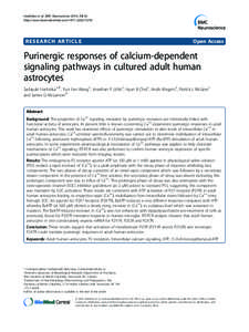 Developmental changes in human dopamine neurotransmission: cortical receptors and terminators