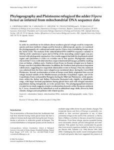Genetics / Vipera berus / Vipera ursinii / Vipera / Phylogeography / Haplogroup / Holarctic / Viperinae / Fauna of Europe / Biology