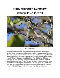 PIBO Migration Summary October 1st – 10th, 2013 Blue-headed Vireo  It was another productive but generally low-key ten days of migration