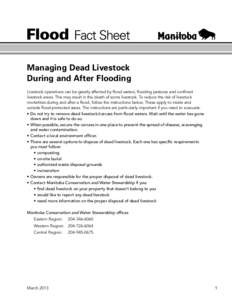 Managing Dead Livestock During and After Flooding Livestock operations can be greatly affected by flood waters, flooding pastures and confined livestock areas. This may result in the death of some livestock. To reduce th