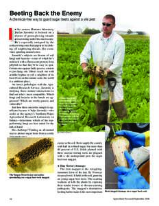 Beeting Back the Enemy A chemical-free way to guard sugar beets against a vile pest I  n his eastern Montana laboratory,