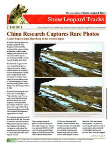 The newsletter of Snow Leopard Trust  Fall 2011 Snow Leopard Trust: celebrating 30 years of protecting the magnificent snow leopard