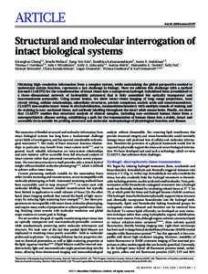 ARTICLE  doi:nature12107 Structural and molecular interrogation of intact biological systems