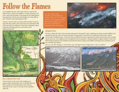 Landslide Lake Interpretive Fire Trail Brochure