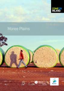 Moree Plains  The Moree Cotton Cup Moree is a town rich in heritage, culture, agriculture and natural