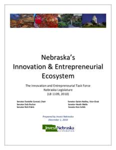 Nebraska’s Innovation & Entrepreneurial E c o sy st e m The Innovation and Entrepreneurial Task Force Nebraska Legislature (LB 1109, 2010)