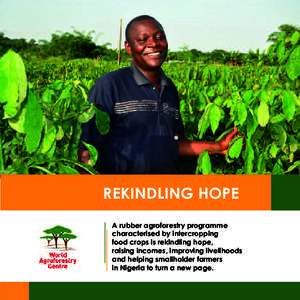 RekiNdliNg hope A rubber agroforestry programme characterised by intercropping food crops is rekindling hope, raising incomes, improving livelihoods and helping smallholder farmers