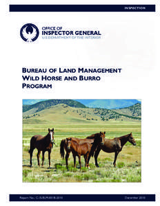 INSPECTION  BUREAU OF LAND MANAGEMENT WILD HORSE AND BURRO PROGRAM