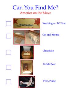 Can You Find Me? America on the Move Washington DC Star Cat and Mouse