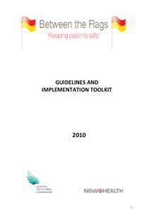   GUIDELINES AND  IMPLEMENTATION TOOLKIT      