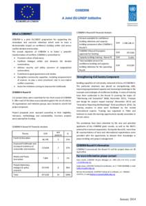 COBERM A Joint EU-UNDP Initiative EUROPEAN UNION COBERM II Round III Financial Analysis