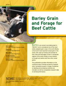 Barley Grain and Forage for Beef Cattle