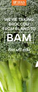WE’RE TAKING BROCCOLI FROM BLAND TO BAM ifas.ufl.edu