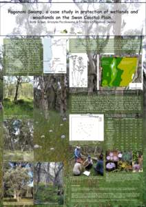 Trees of Australia / Banksia littoralis / Swan Coastal Plain / Banksia / Euphorbia / Eudicots / Physical geography / Ornamental trees