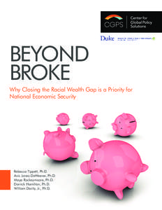 BEYOND BROKE Why Closing the Racial Wealth Gap is a Priority for National Economic Security  Rebecca Tippett, Ph.D.