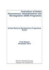 Evaluation of Sudan Disarmament, Demobilization and Reintegration (DDR) Programme United Nations Development Programme Sudan