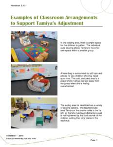 Examples of Classroom Arrangements to Support Tamiya’s Adjustment