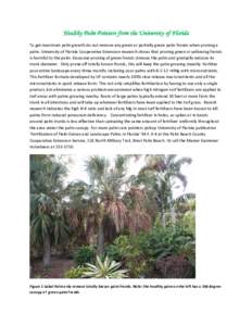 Tropical agriculture / Palms / Flora / Halophytes / Sabal palmetto / Arecaceae / Palm branch / Fertilizer / West Palm Beach /  Florida / Flora of the United States / Ornamental trees / Botany
