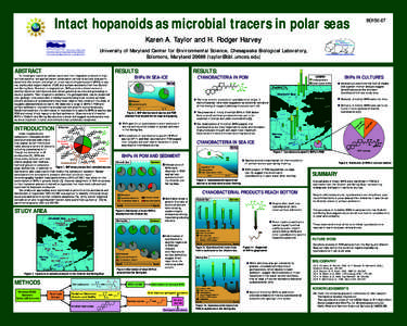 Metabolism / Cyanobacteria / Gram-negative bacteria / Photosynthesis / Bering Sea / Chukchi Sea / Hopanoids / Biology / Biological processes / Microbiology