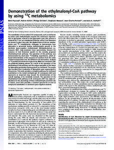 Biochemistry / Metabolic pathways / Metabolism / Thioesters / Propionyl-CoA / Glyoxylate cycle / Citric acid cycle / Isocitrate lyase / Succinyl-CoA / Chemistry / Coenzymes / Biology