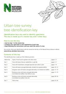 Urban tree survey: tree identification key Identification keys are used to identify specimens. This key is made up of a master key and 7 other keys. How to use this key • start at step 1 in the master key