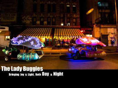 The Lady Buggies Bringing Joy & Light, Both Day & Night  The Lady Buggies are unique creatures that turn heads and induce smiles wherever
