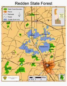 Geography of Texas / Sam Houston National Forest / Royal forest / Hunting / Deer hunting / Catskill Park
