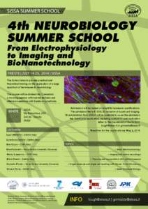 SISSA SUMMER SCHOOL  4th NEUROBIOLOGY SUMMER SCHOOL From Electrophysiology to Imaging and