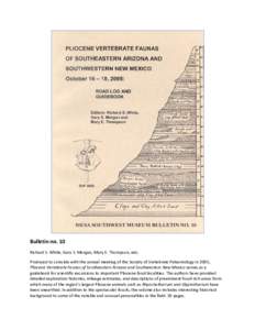 Safford / Geography of the United States / Geography of Arizona / Safford micropolitan area / Arizona