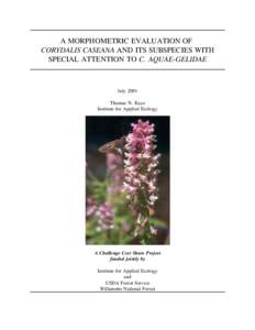 A MORPHOMETRIC EVALUATION OF CORYDALIS CASEANA AND ITS SUBSPECIES WITH SPECIAL ATTENTION TO C. AQUAE-GELIDAE July 2001 Thomas N. Kaye