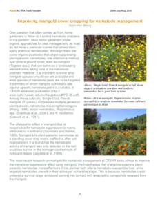 Hānai‘Ai / The Food Provider  June-July-Aug 2010 Improving marigold cover cropping for nematode management Koon-Hui Wang