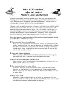 What YOU can do to enjoy and protect Alaska’s Loons and Grebes! As people enjoy outdoor recreation on some Alaska lakes, they often experience the haunting calls of the loon and the bustle of activity as grebes build t