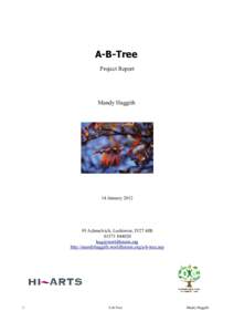A-B-Tree Project Report Mandy Haggith  14 January 2012