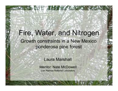 Fire, Water, and Nitrogen Growth constraints in a New Mexico ponderosa pine forest Laura Marshall Mentor: Nate McDowell Los Alamos National Laboratory