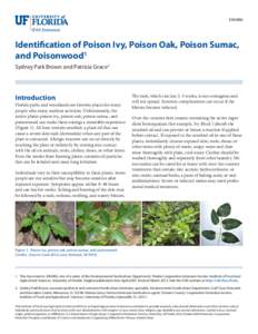 ENH886  Identification of Poison Ivy, Poison Oak, Poison Sumac, and Poisonwood1 Sydney Park Brown and Patricia Grace2