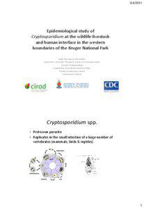 Epidemiological study of  Cryptosporidium at the wildlife-livestock and human interface in the western bounderies of the Kruger National Park