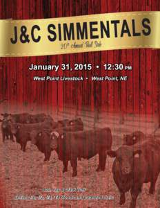 20th Annual Bull Sale January 31, 2015 • 12:30 PM West Point Livestock • West Point, NE Bob, Jay & Clark Volk Selling 1/4, 1/2, 5/8, 3/4 bloods and purebred bulls